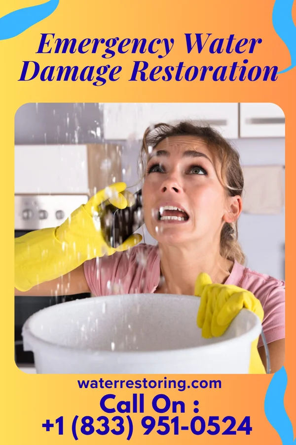 Emergency Water Damage Restoration in Saronville, NE