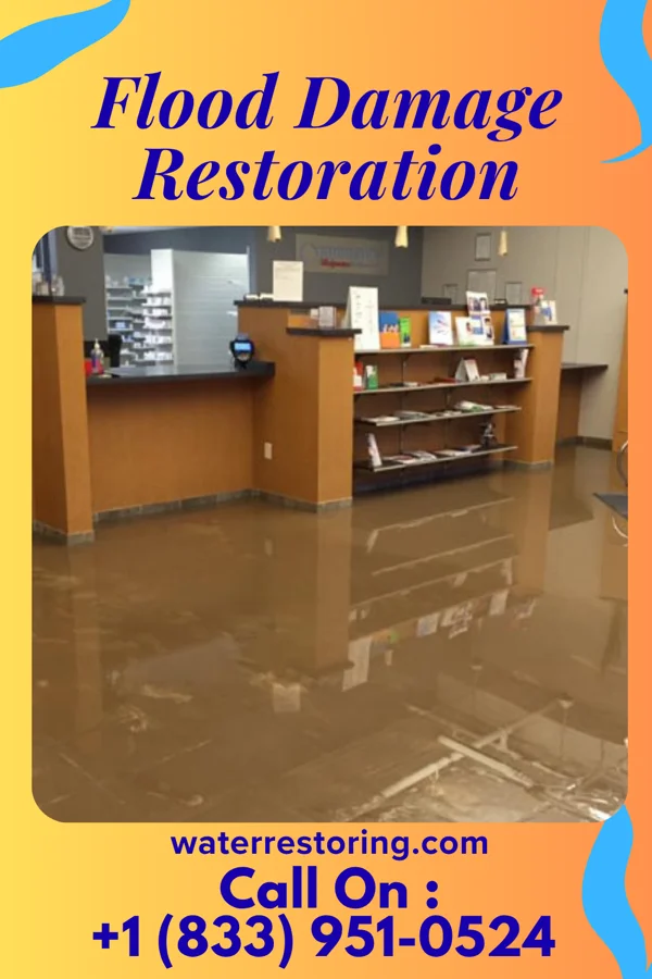 Flood Damage Restoration in Saronville, NE