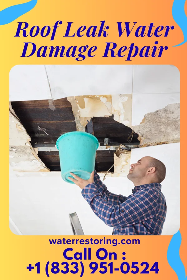 Roof Leak Water Damage Repair in Saronville, NE